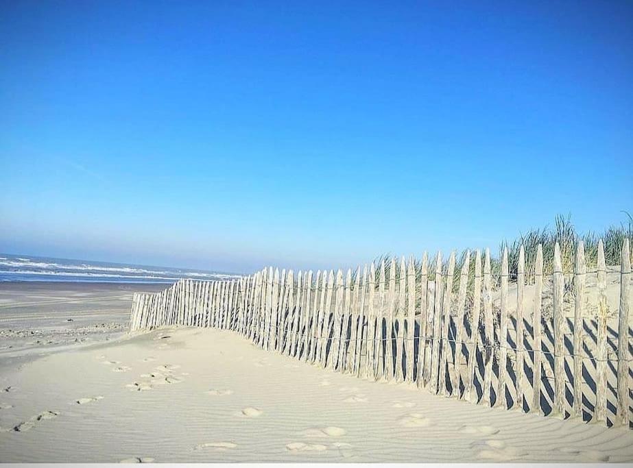 Superbe Apt Cosy A 500M De La Plage Pour 4 Pers ฟอร์-มาอง-ปลาจ ภายนอก รูปภาพ